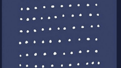 كتاب فن الكسل - هيرمان هسه