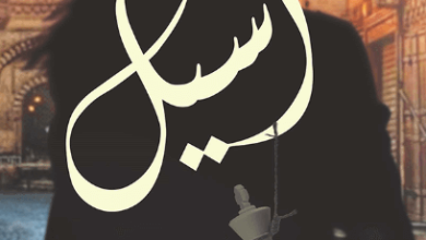 رواية أسيل - أحمد يوسف شاهين