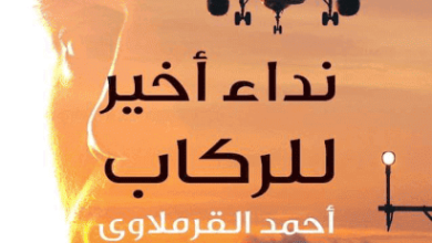 رواية نداء أخير للركاب - أحمد القرملاوي