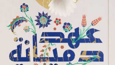 رواية عهد دميانة - أسامة عبد الرءوف الشاذلي