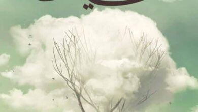 رواية غيث - سارة مصطفي إبراهيم