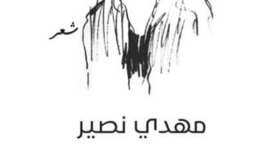 كتاب حوار غير هادئ - مهدي نصير