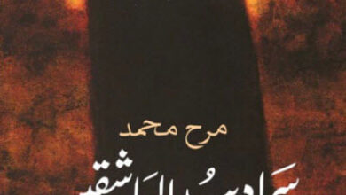 كتاب سراديب العاشقين - مرح محمد