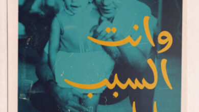 كتاب وأنت السبب يابا الفاجومي وأنا - نوارة نجم