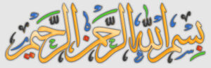 سياسة الخصوصية - عاشق الكتب