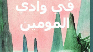 رواية مذنب في وادي المومين - توفه يانسون