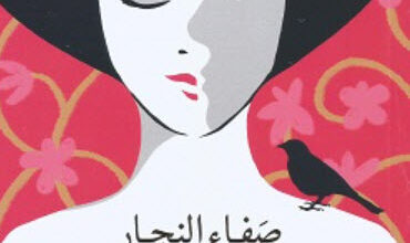 كتاب الدرويشة - صفاء النجار