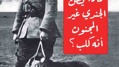 كتاب لماذا يظن الجندي غير المجنون أنه كلب - محمد العرادي