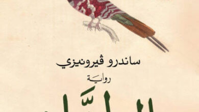 رواية الطنان - ساندرو فيرونيزي