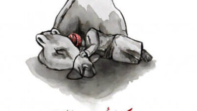 كتاب مهاكاة ذي الرمة - حيدر العبدالله