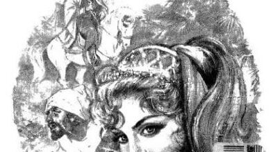 كتاب شمس النهار - توفيق الحكيم