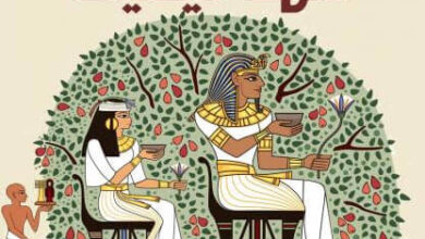 كتاب مهد كيميت - محمد خميس
