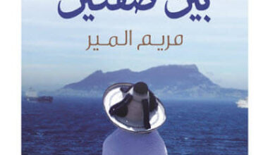 كتاب الأندلس بين ضفتين - مريم المير
