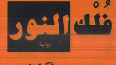رواية فلك النور - فكري عمر