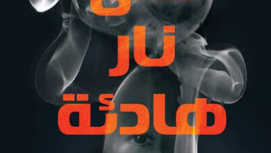 رواية على نار هادئة - باولا هوكينز