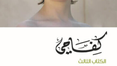 رواية كفاحي الكتاب الثالث جزيرة الصبا - كارل أوفه كناوسغارد