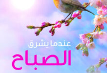 كتاب عندما يشرق الصباح - حسان شمسي باشا
