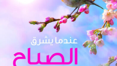 كتاب عندما يشرق الصباح - حسان شمسي باشا