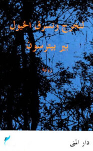 رواية لنخرج ونسرق الخيول