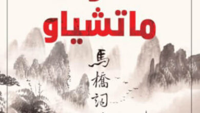 رواية قاموس ماتشياو - هان شاو غونغ