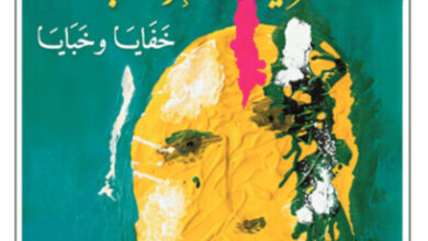 كتاب الغرفة 46 - عبد الحسين شعبان