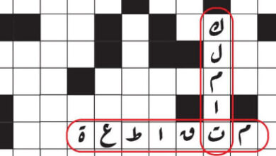 كتاب كلمات متقاطعة أربعون يوما - أحمد حجاج