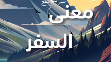 كتاب معنى السفر - إيميلي توماس