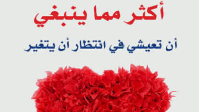 كتاب عندما تحب النساء أكثر مما ينبغي - روبين نورود