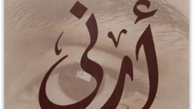 رواية أرني أنظر إليك pdf - خولة حمدي