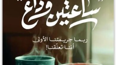 رواية ساعتين وداع - أحمد مهنى