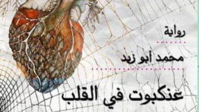رواية عنكبوت في القلب - محمد أبو زيد