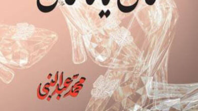 كتاب كان يا ما كان - محمد عبد النبي