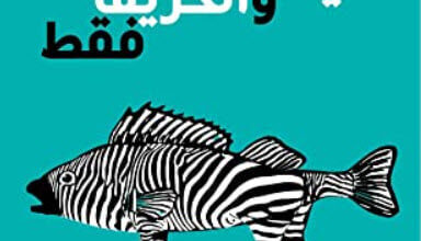 رواية في الصيف والخريف فقط - محمود عبد الغني