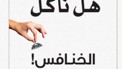 كتاب هل نأكل الخنافس - ديفيد والتر تويس