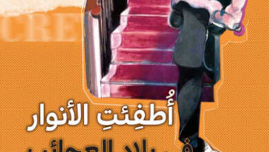 رواية أطفئت الأنوار في بلاد العجائب - دي. بي. سي. بيير