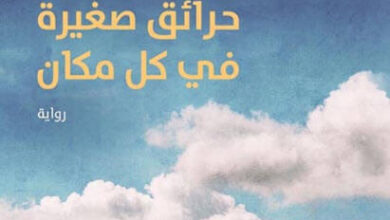 رواية حرائق صغيرة في كل مكان - سيليست إنج